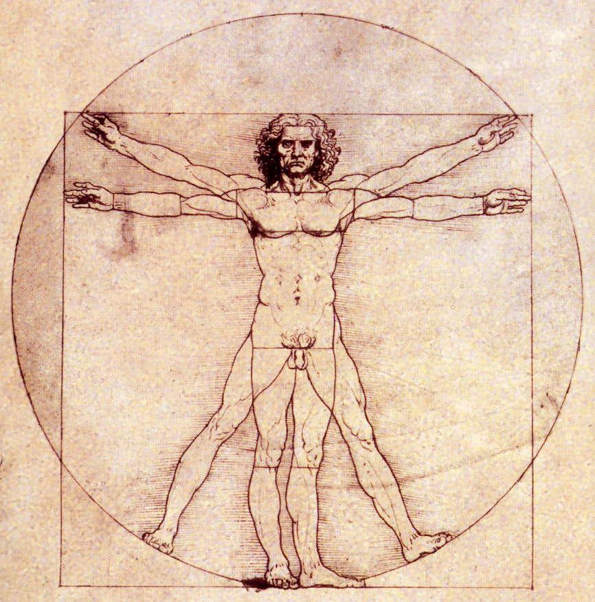 Da-Vinci_human-proportions